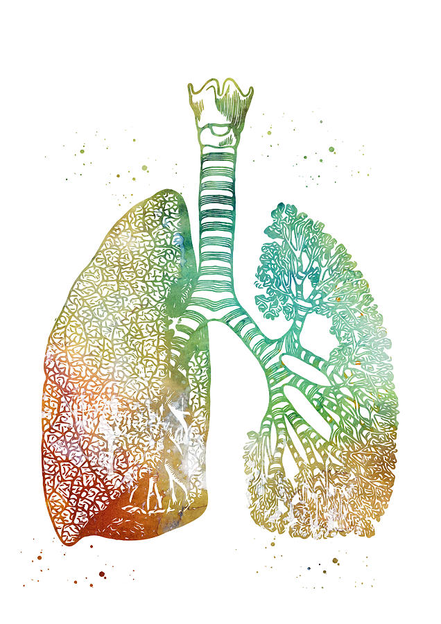 Lungs Art Digital Art by Erzebet S - Fine Art America