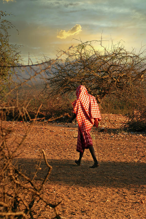 Maasai Wanderings #1 Photograph by Gene Taylor