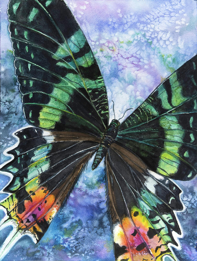 Madagascan Sunset Moth #2 Painting by Patricia Allingham Carlson