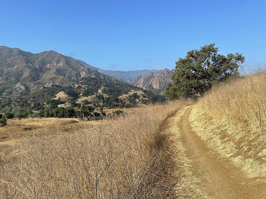 Malibu Creek #2 Photograph by Mark Millicent - Fine Art America