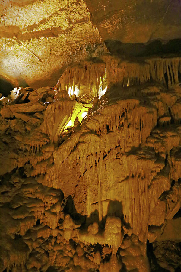 Mammoth Cave National Park Photograph
