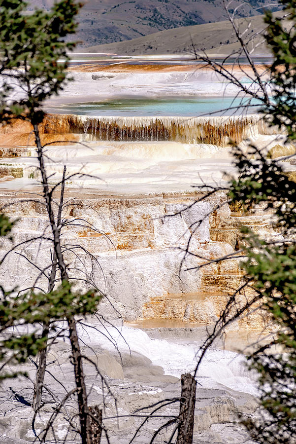 Mammoth Hot Springs in Yellowstone National Park. USA #2 Photograph by Alex Grichenko