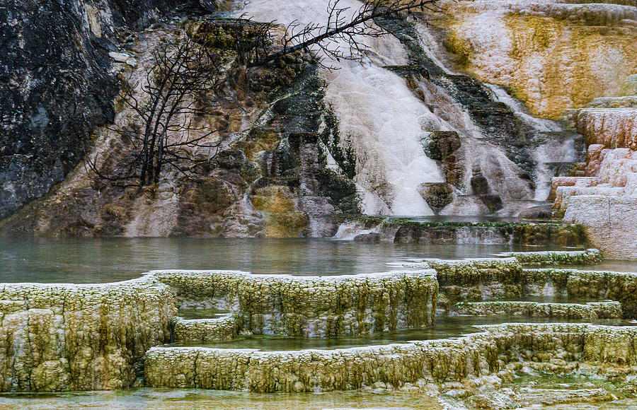 Mammoth Hot Springs #2 Photograph by Tommy Farnsworth