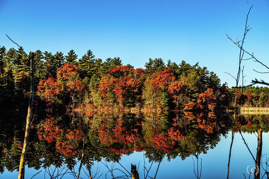 Massasoit State Park, Boston Photograph by Kaitlin Sells - Pixels