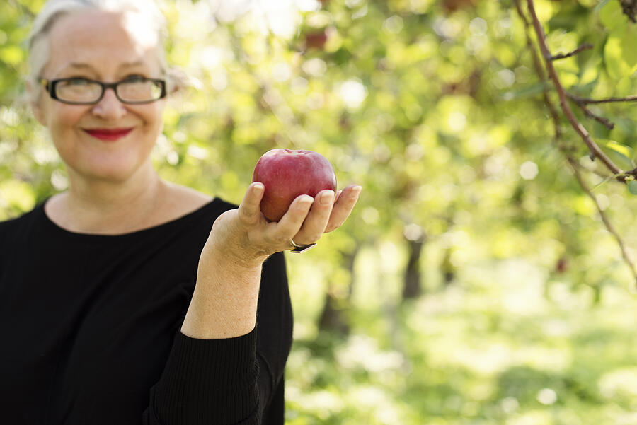 Mature woman picking up apples in orchard. #2 Photograph by Martinedoucet