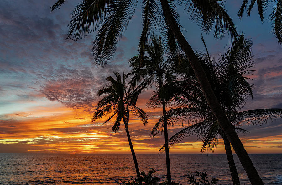 Mazatlan Sunsets  #2 Photograph by Tommy Farnsworth