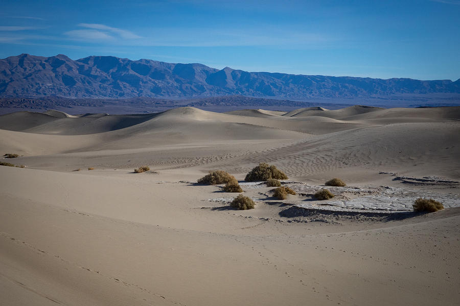 Mesquite Flat Sand Dunes #2 Photograph by Jonathan Babon