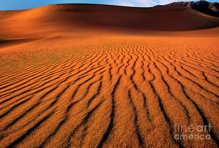 Mesquite Sand Dunes Death Valley California #2 Photograph by Dave Welling