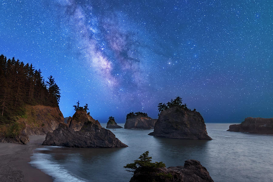Milky Way Over Secret Beach Photograph by Patrick Campbell