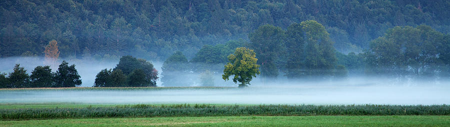 Misty marsh #2 Photograph by Ian Middleton