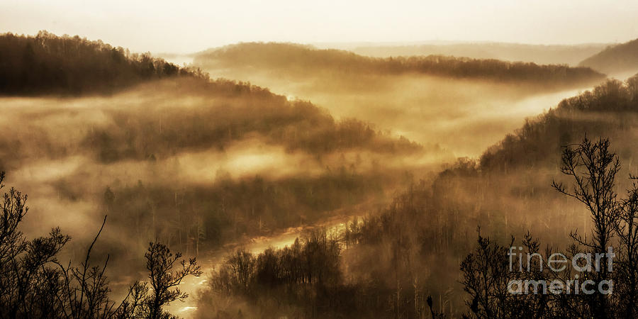 Misty Mountain Morning #2 Photograph by Thomas R Fletcher