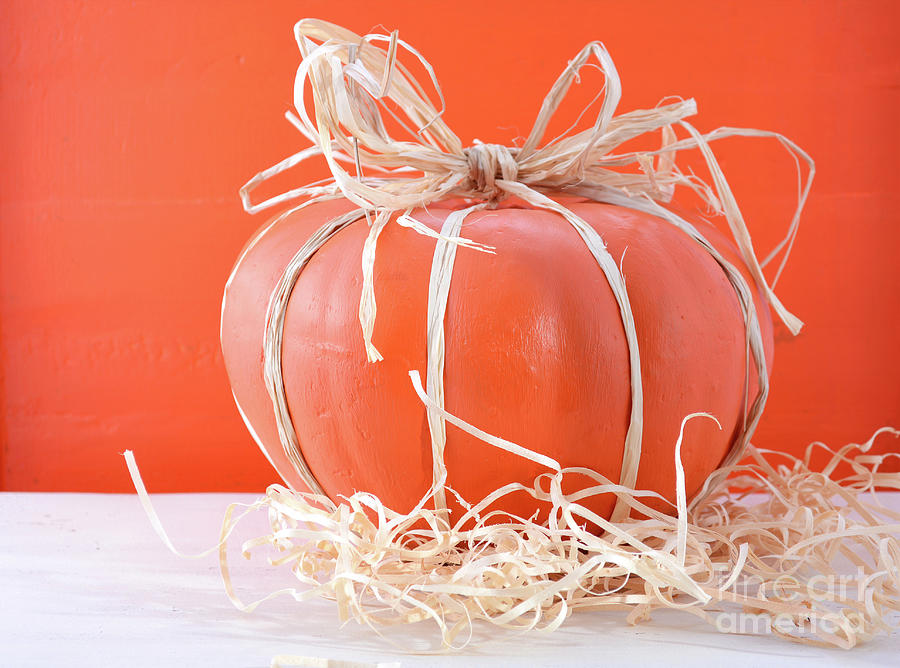 Fall Photograph - Modern decorated pumpkin centerpiece #2 by Milleflore Images