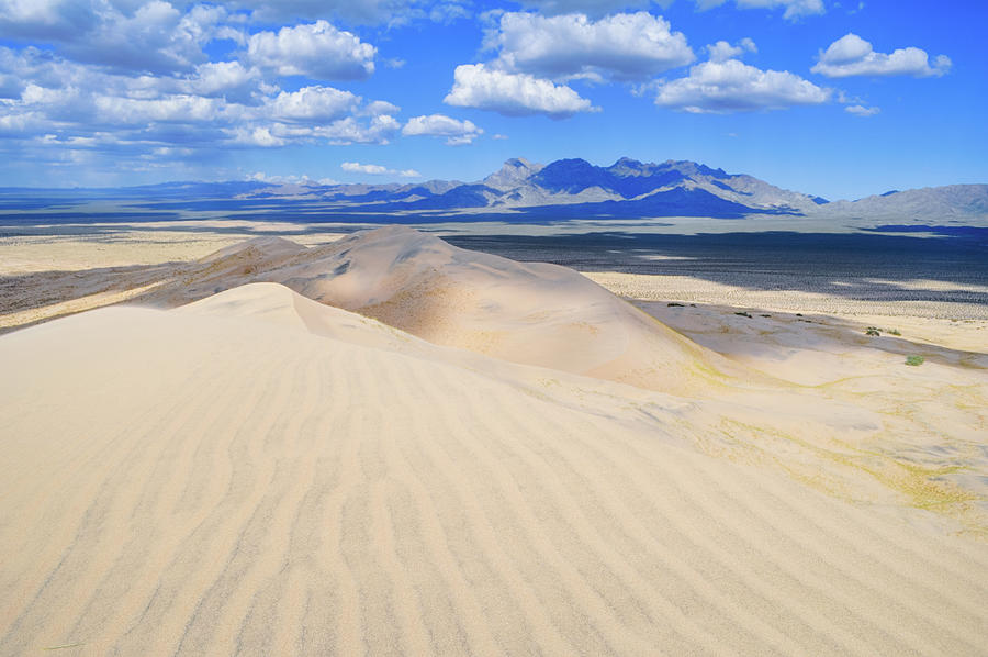 Mojave Kelso Dunes Landscape #2 Photograph by Kyle Hanson