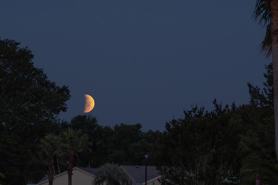Moon #3 Photograph by Dennis Dugan