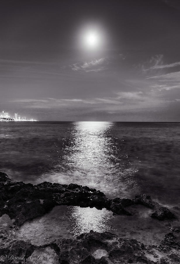 Moonset Photograph by David Lee