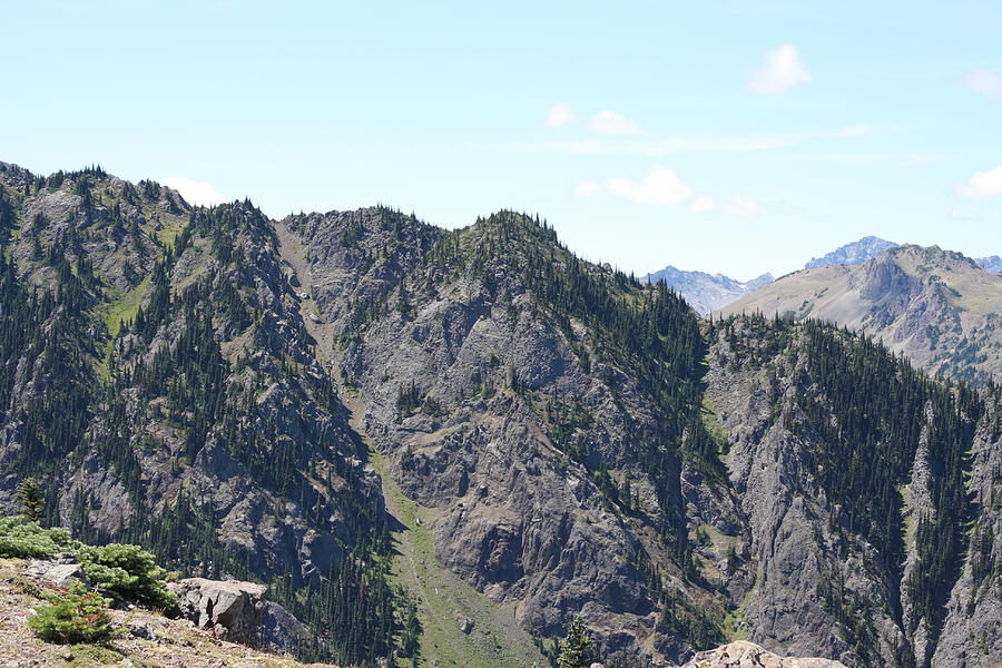 Mount Olympus Olympic National Park Wa Photograph By Mona Master Fine