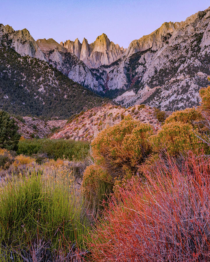 Nature Photograph - Mount Whitney, Sequoia National Park Inyo, National Forest, California, USA #2 by Tim Fitzharris