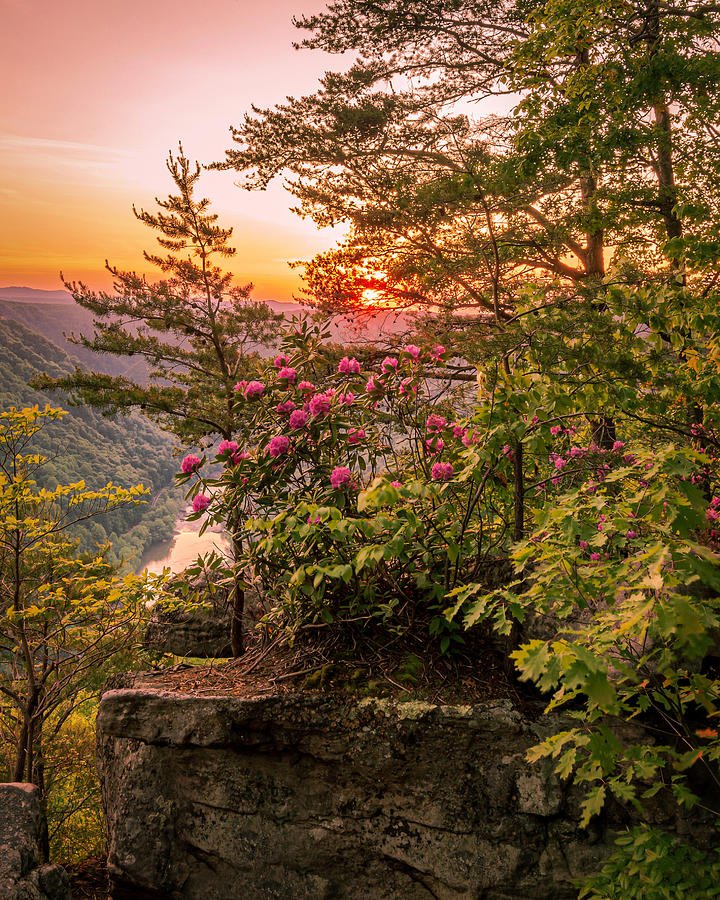 Mountain Spring Sunset #1 Photograph by SC Shank