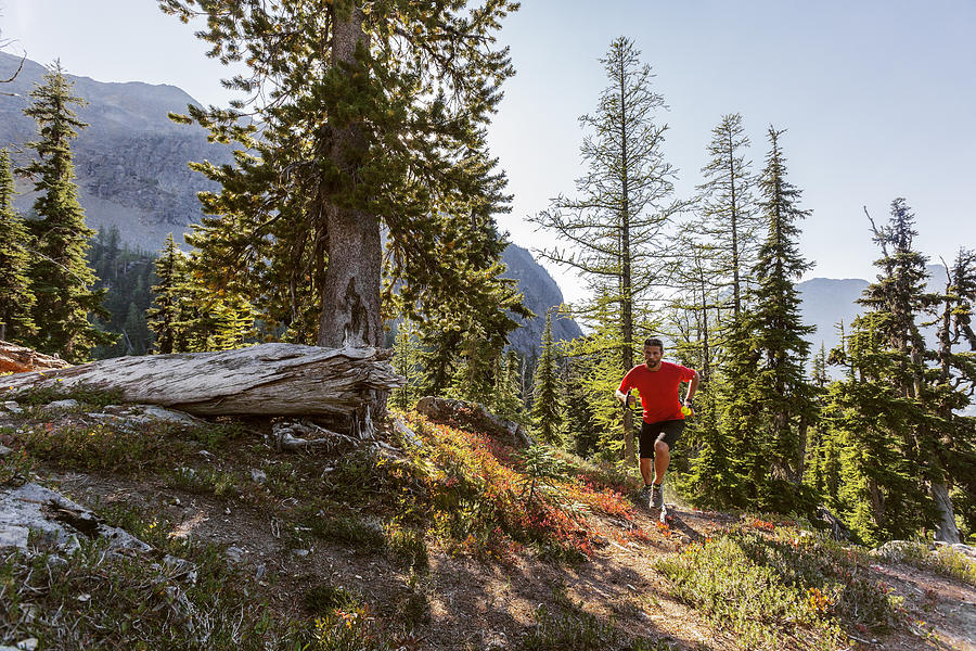 Mountain trail running in the North Cascades #2 Photograph by Sawaya Photography