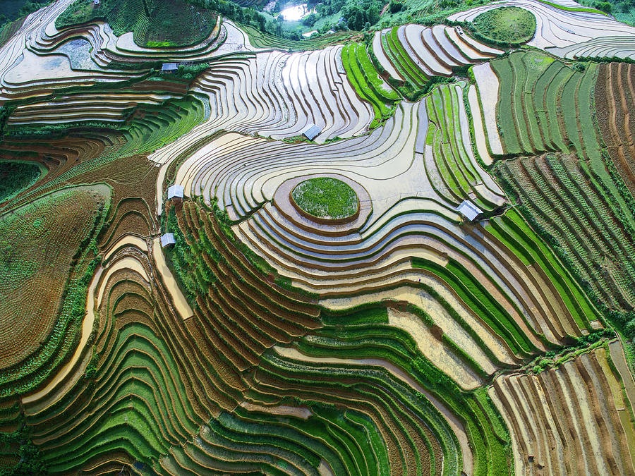 Mu Cang Chai in Planting Season Photograph by Le The Thang | Pixels