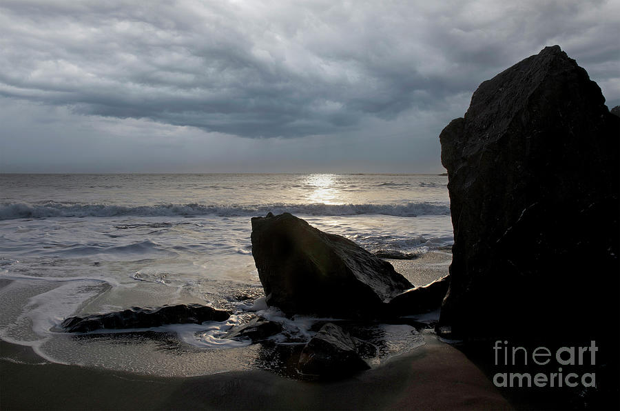 Muir Beach, CA Photograph by Angelia Bella - Fine Art America