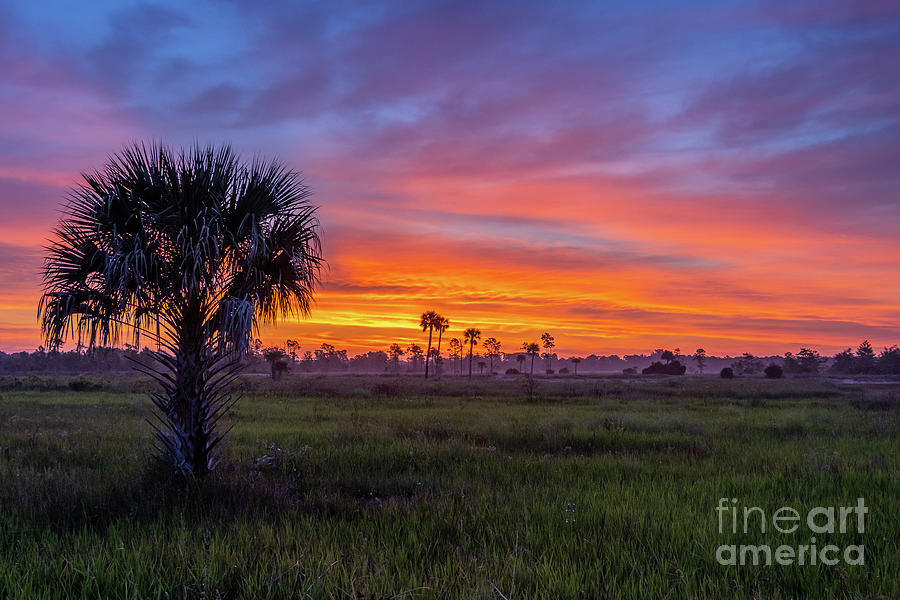Nature Photograph - Multi-Colored Sunrise #2 by Tom Claud