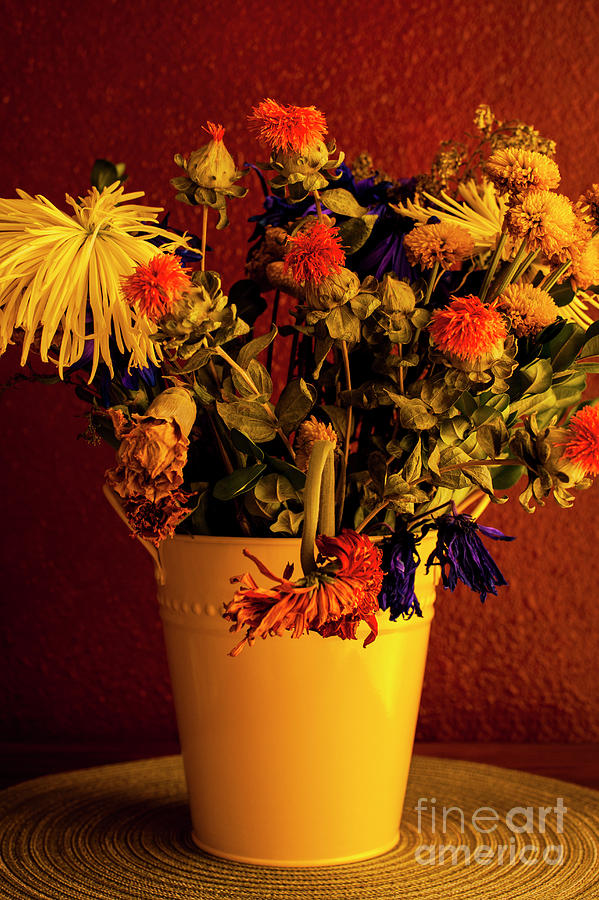 Multicolored Wilting Flowers #2 Photograph by Jim Corwin