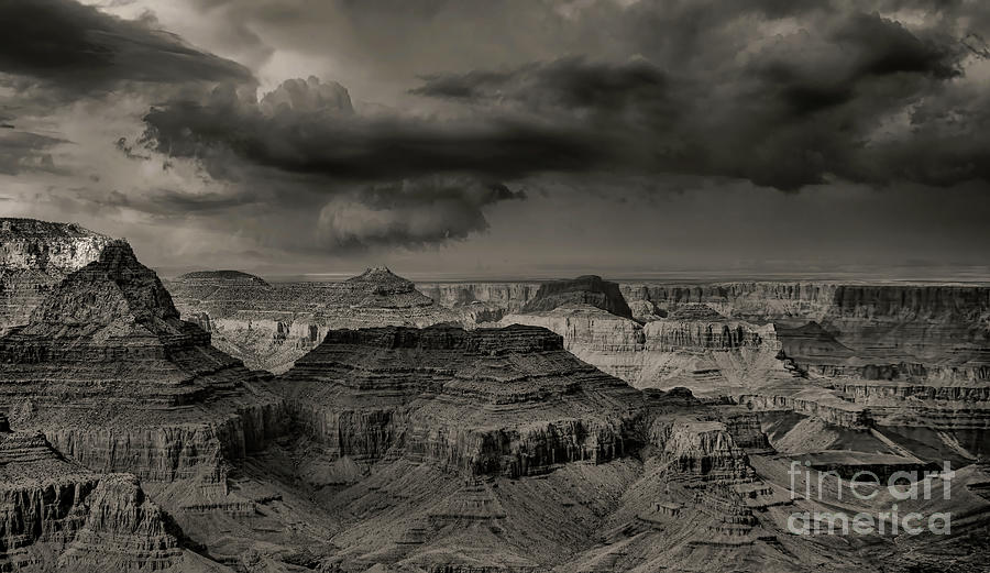 Natures Best Grand Canyon Black white  #2 Photograph by Chuck Kuhn