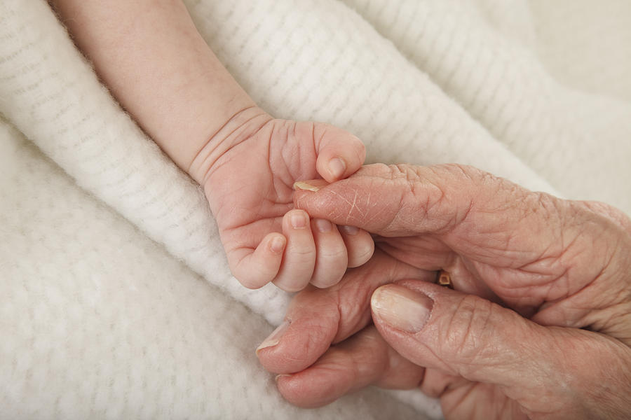 Newborn Baby Holding Great Grandmothers Hand #2 Photograph by Dszc