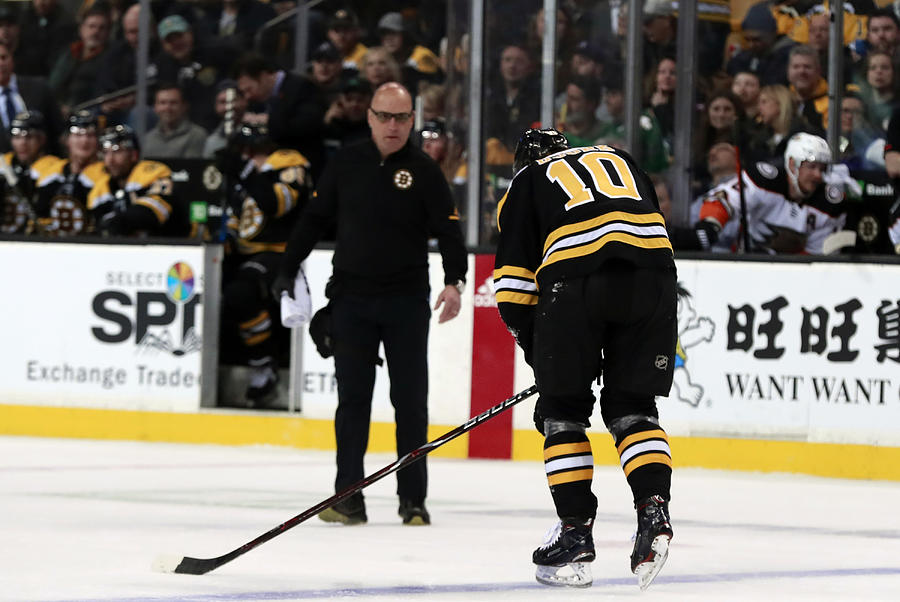NHL: JAN 30 Ducks at Bruins #2 Photograph by Icon Sportswire