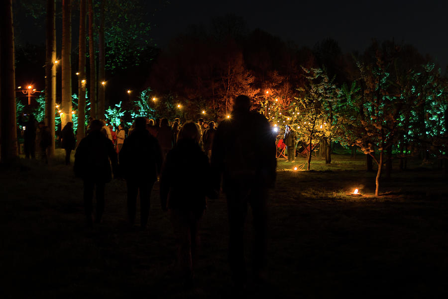 Night walk in the fruit grove #2 Photograph by Tom Van den Bossche