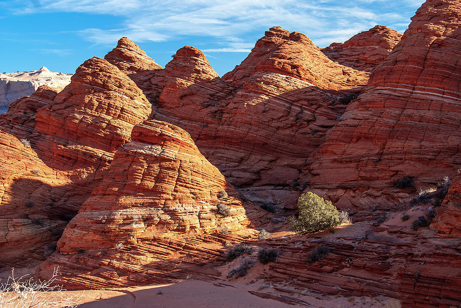 North Coyote Buttes Photograph by Patricia Fiedler