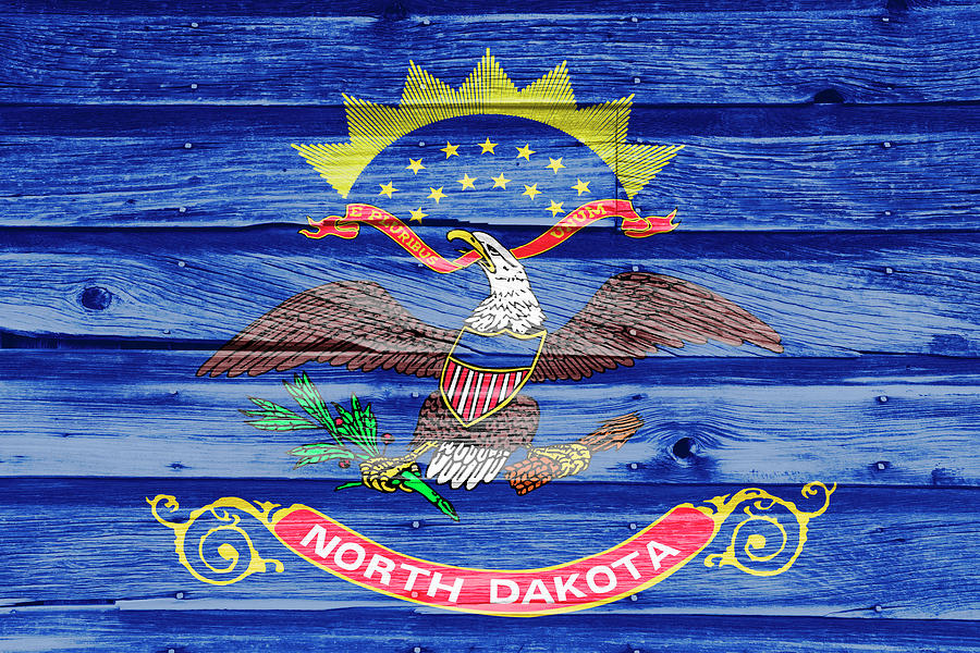 North Dakota State Flag #2 Photograph by Karen Foley