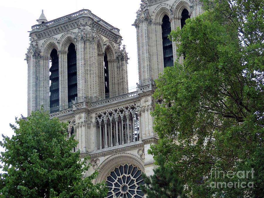 Notre Dame Cathedral Rebuilding #2 Photograph by Steven Spak