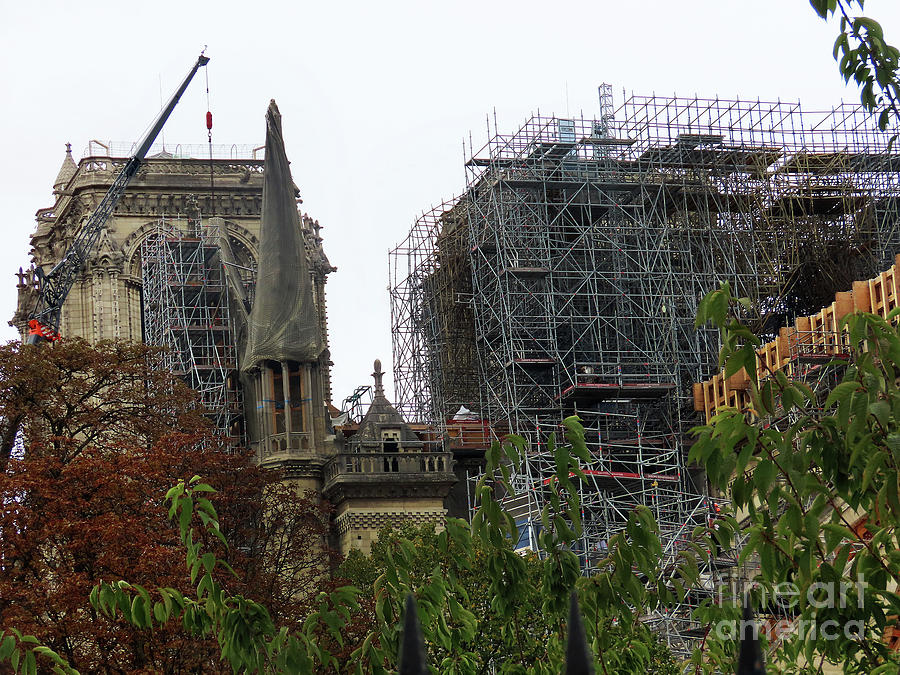 Notre Dame Cathedral Reconstruction Photograph By Steven Spak - Fine ...