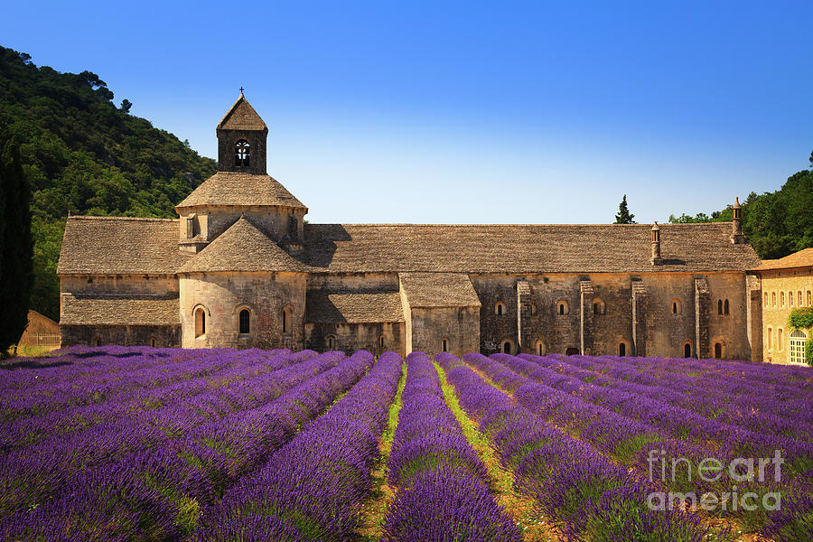 Notre Dame de Senanque  Abbey Provence France #2 Photograph by Peter Noyce