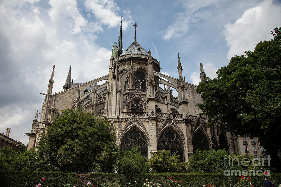 Notre Dame, Paris #2 Photograph by Timothy Johnson