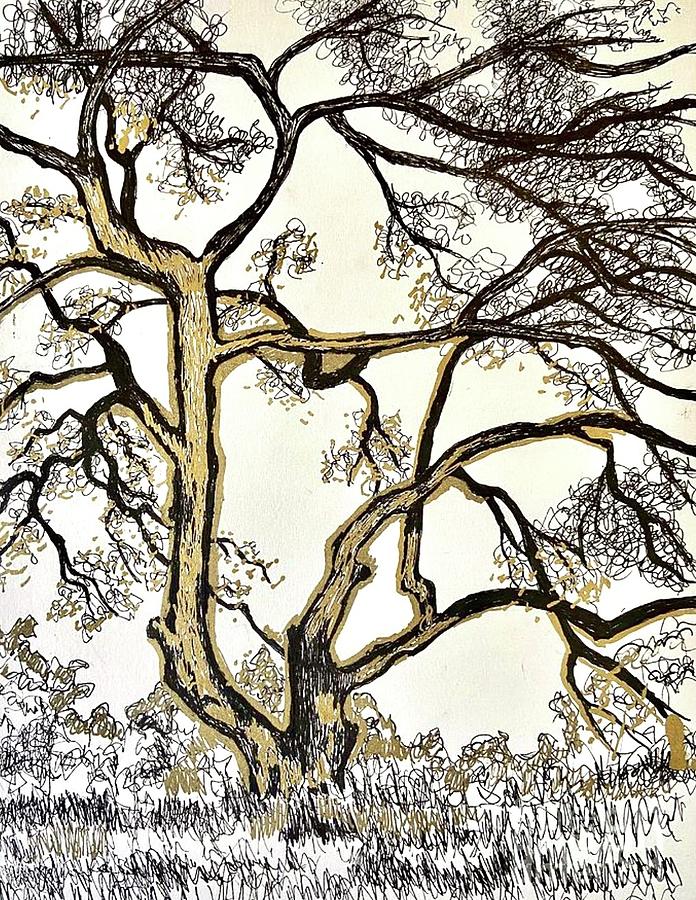 Nature Drawing - Oak tree #2 by Suzanne Leonard