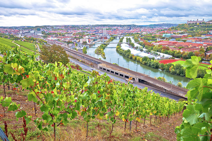 Old town of Wurzburg view from the vineyard hill #2 Photograph by Brch Photography