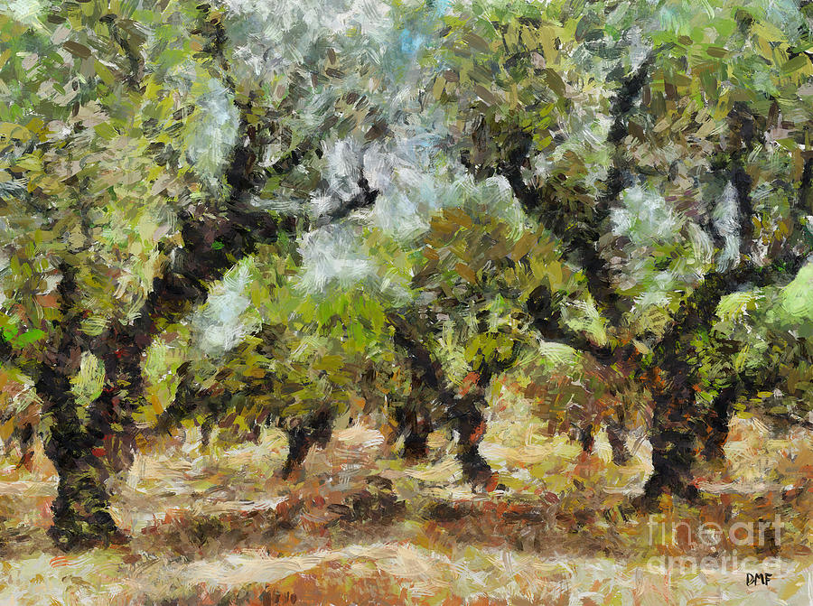 Olive grove #3 Painting by Dragica Micki Fortuna