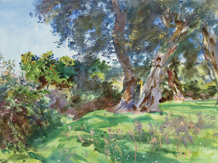 Olive Trees, Corfu #3 Painting by John Singer Sargent