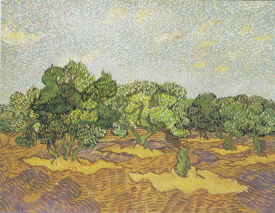 Vincent Van Gogh Painting - Olive Trees #14 by Vincent van Gogh