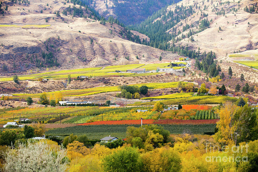 Oliver Okanagan Valley British Columbia Photograph by Kevin Miller