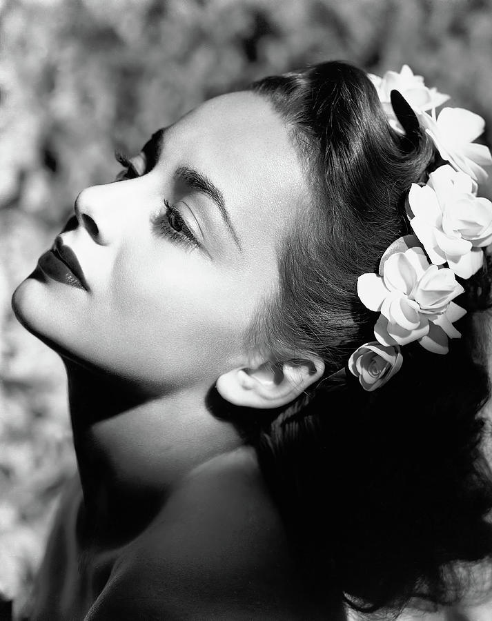 Olivia De Havilland. #2 Photograph by Album