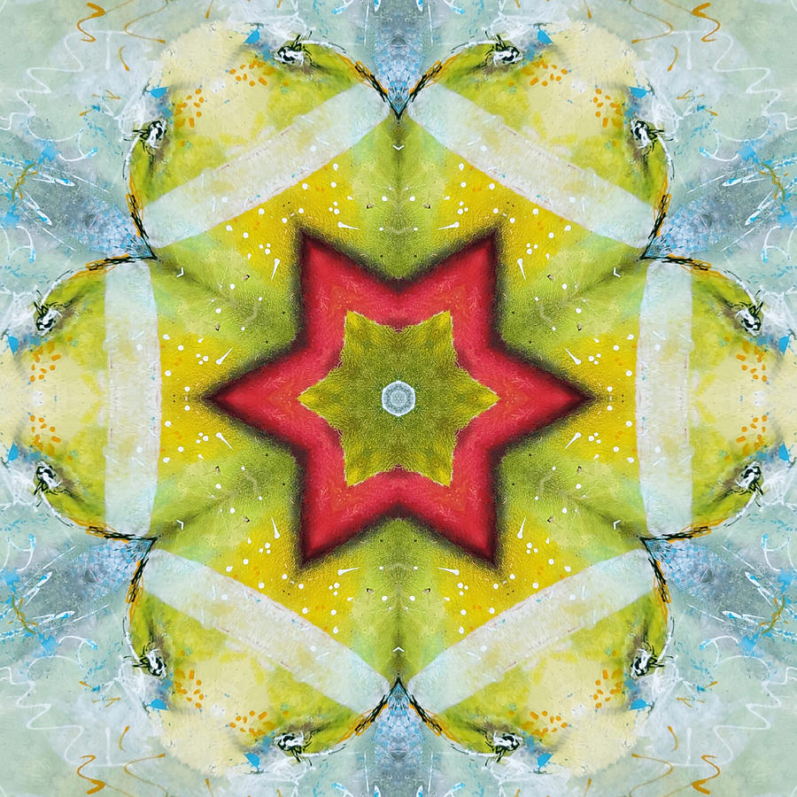 Orange Fruit - Kaleidoscope #1 Digital Art by Themayart