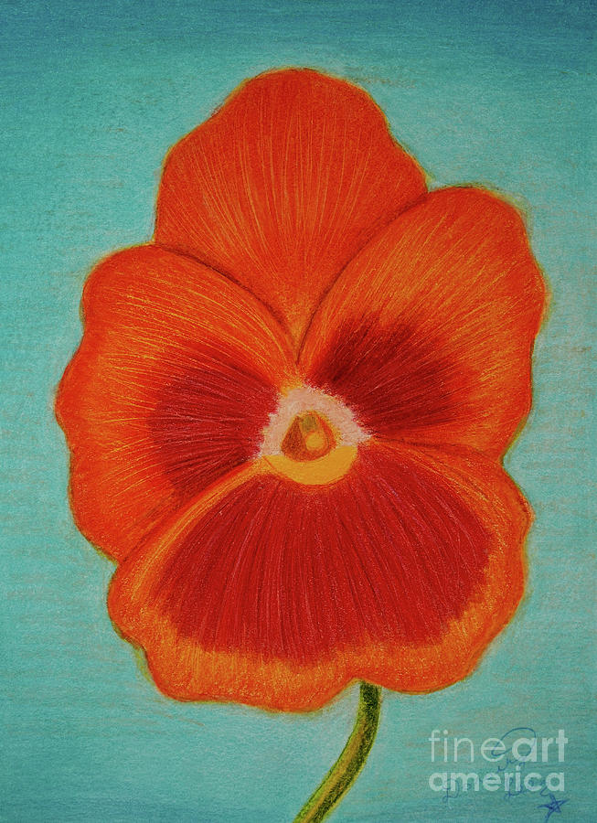 Orange Pansy #2 Painting by Dorothy Lee