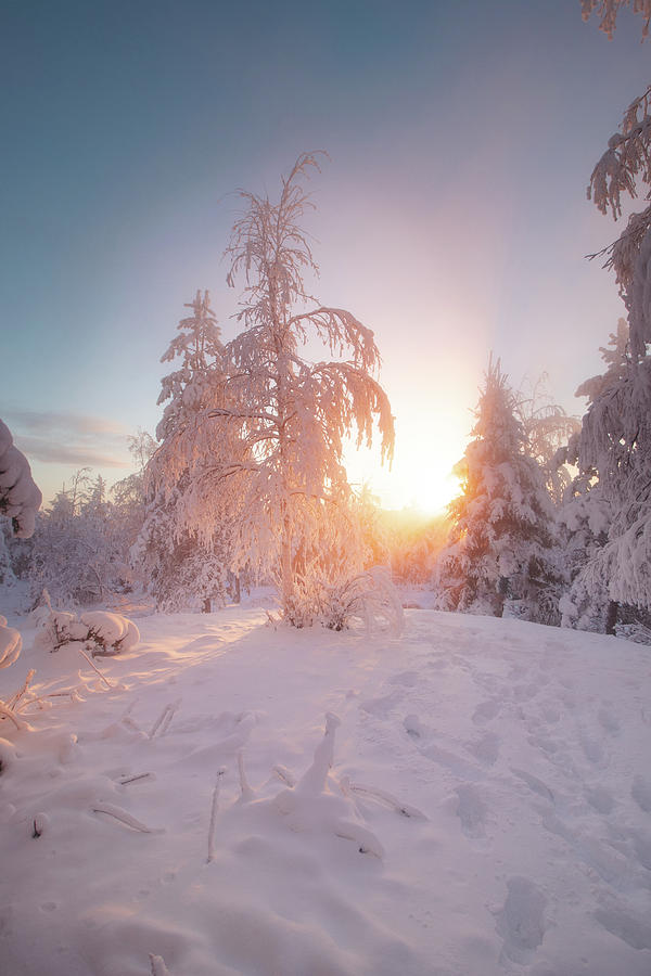 Orange rays of the sun illuminate the frosty and snowy Finnish scenery #2 Photograph by Vaclav Sonnek