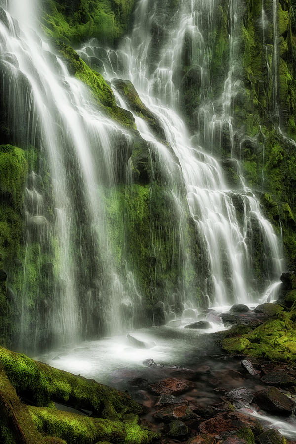 Oregon's Lower Proxy Falls Spills Over Moss Covered Basalt Photograph