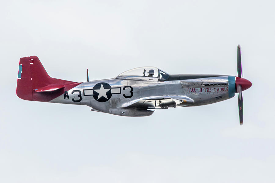 P51 Mustang Tall In The Saddle #2 Photograph by Airpower Art