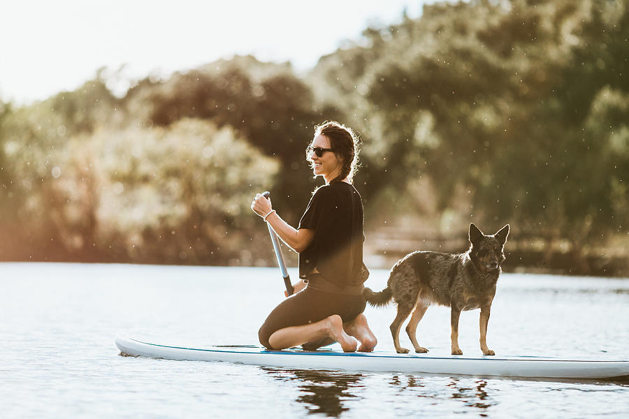 Paddleboarding Woman With Dog #2 Photograph by RyanJLane